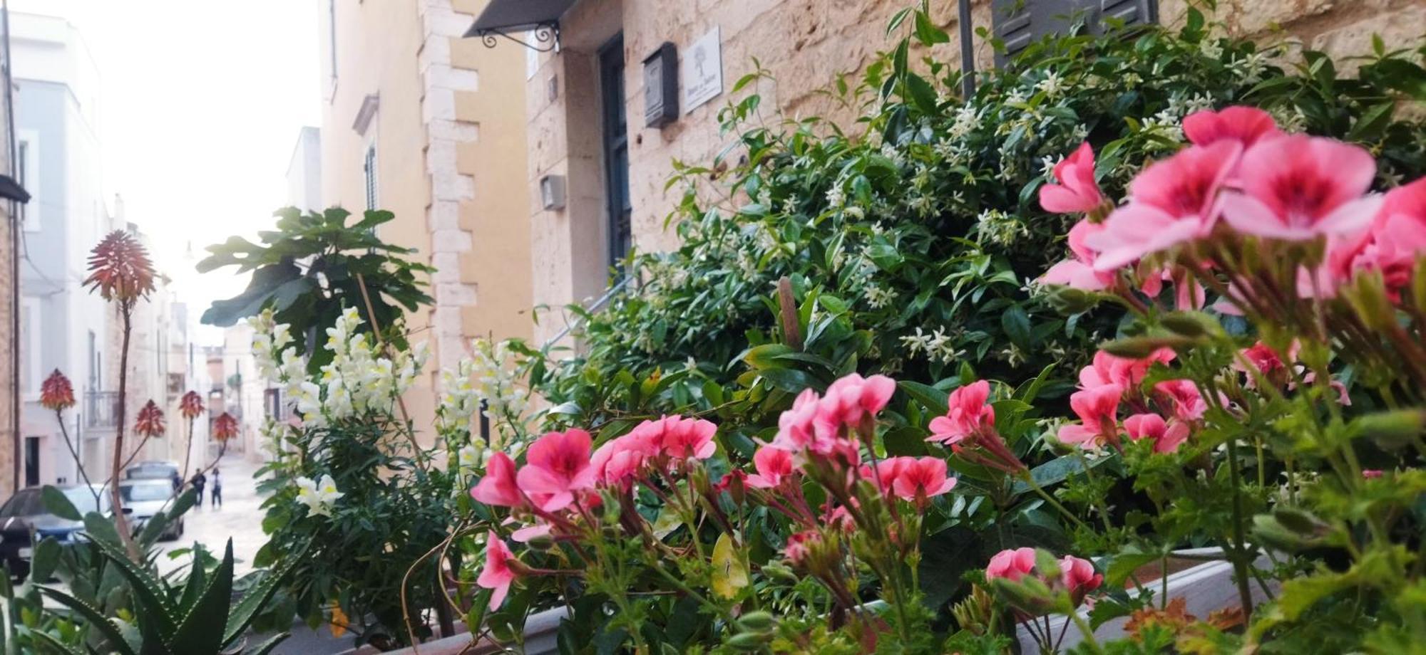 Bed and Breakfast Dimora Delle Badesse Конверсано Экстерьер фото